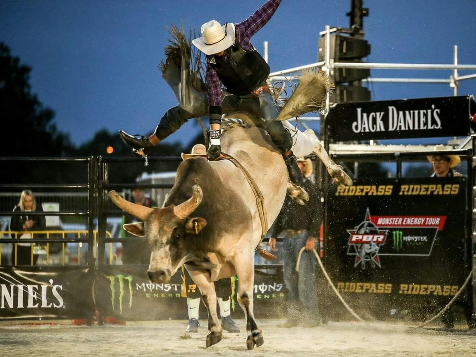 Image for PBR Grafton Stampede