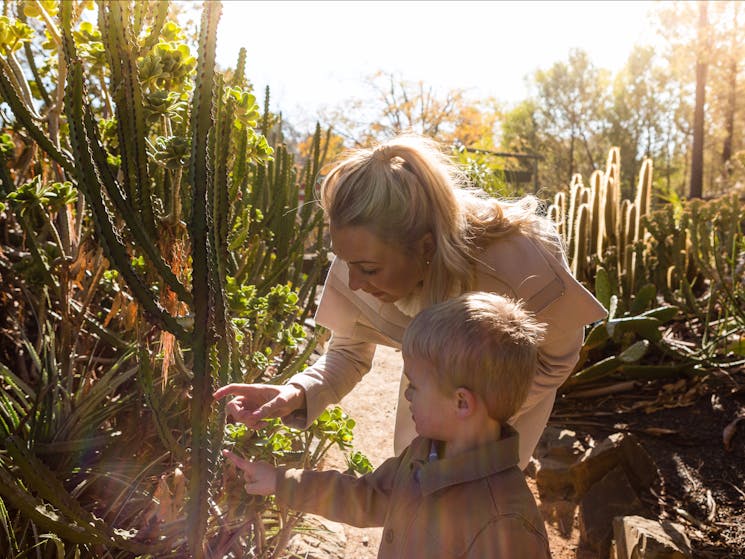 Wagga Wagga Botanic Gardens