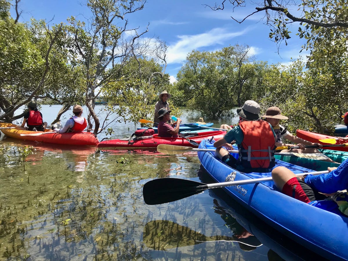 Mangroves