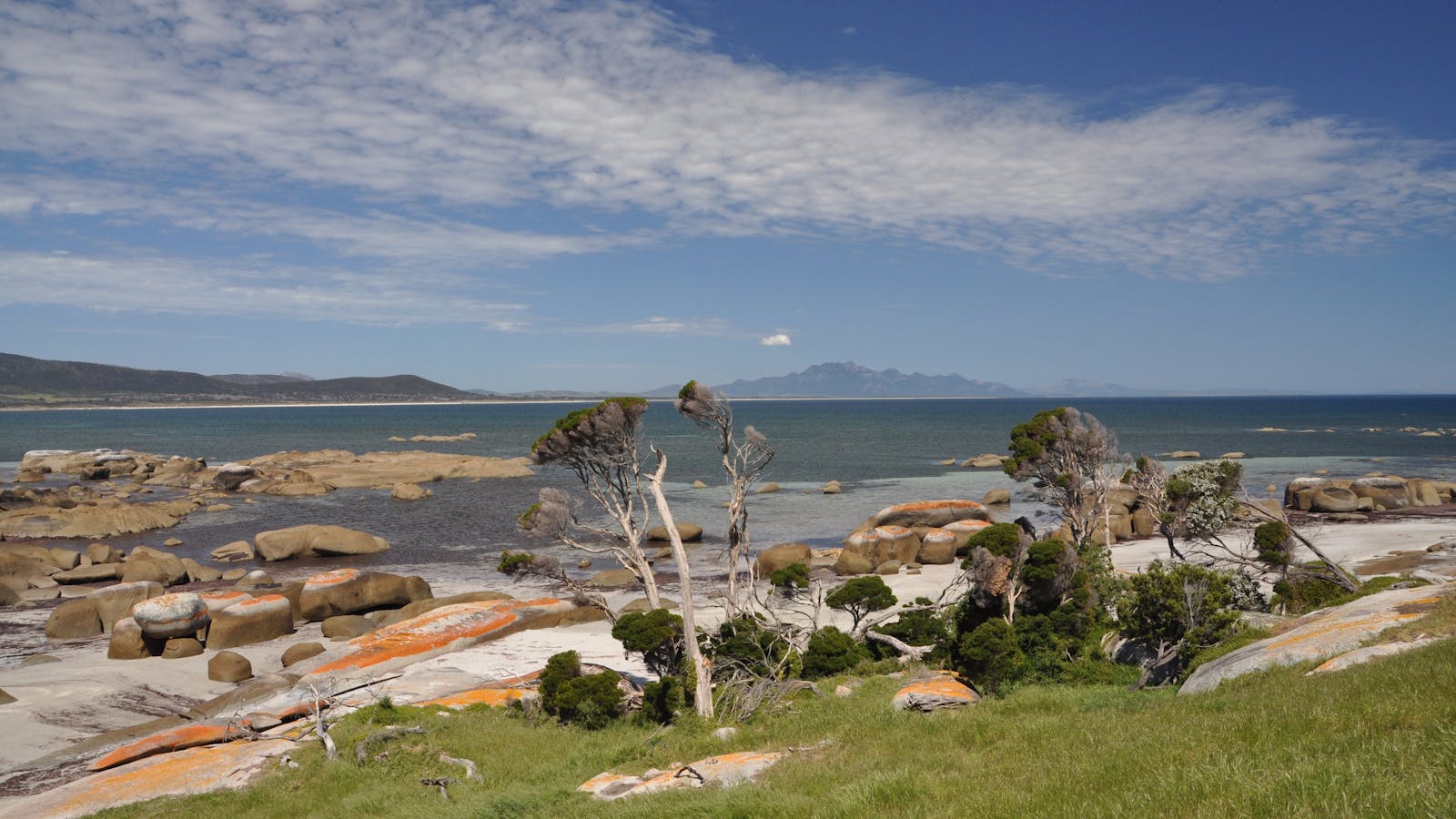 Drive Discovery Central Flinders Island