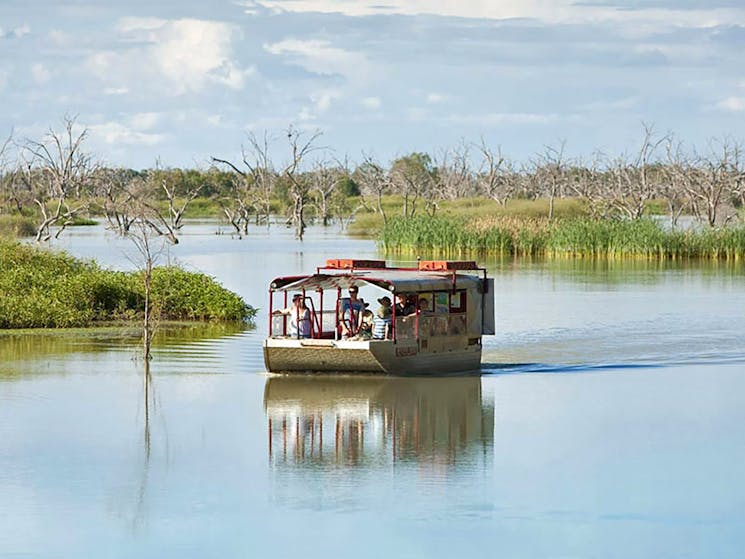 River Lady Tours