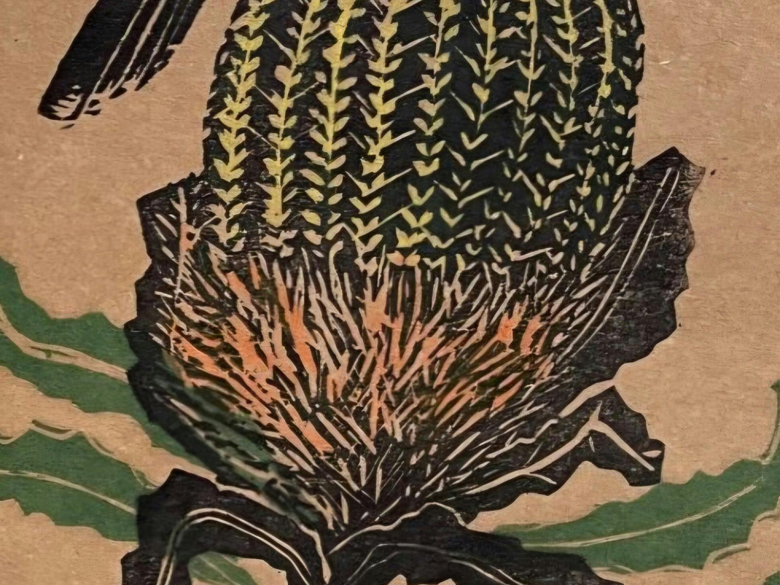 Carved banksia
