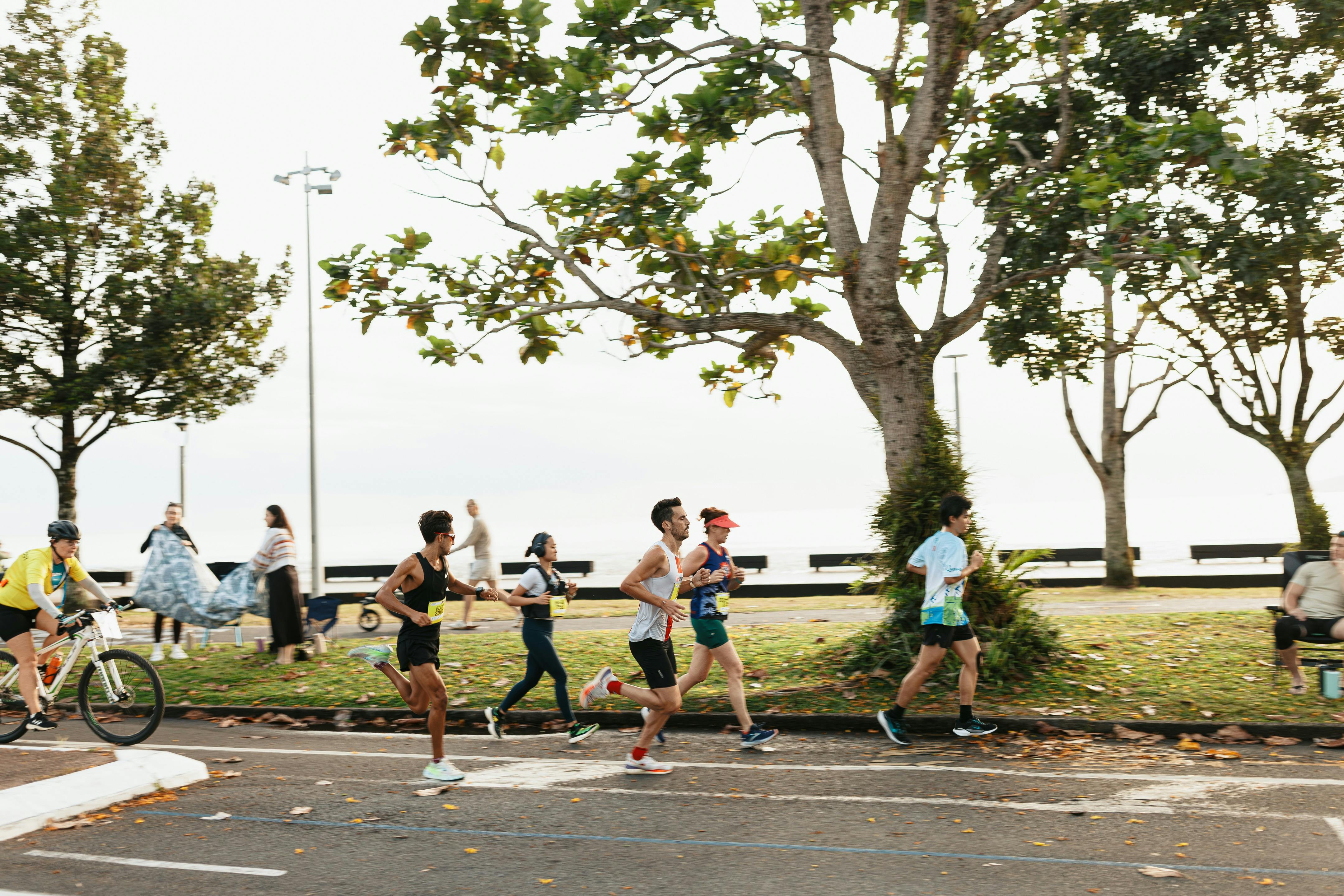 7Cairns Marathon Festival