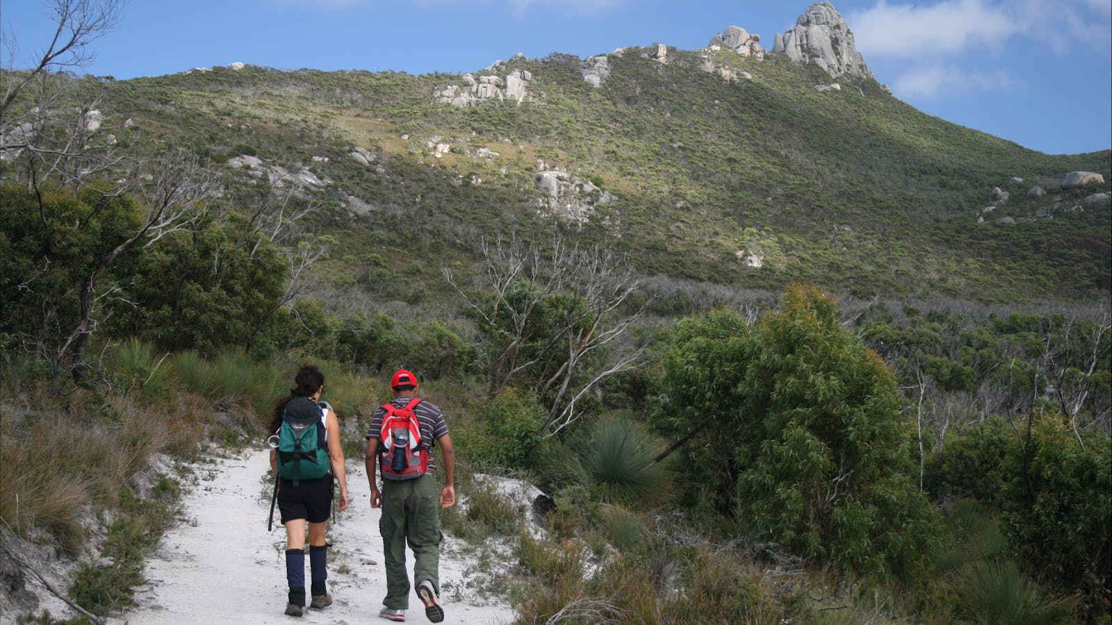 Drive Discovery Central Flinders Island