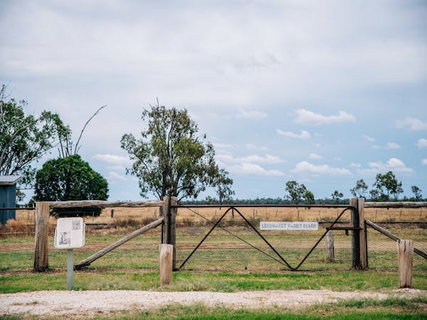 Leichhardt Rabbit Board fence, Morven Leichhardt Rabbit Board fence, Morven