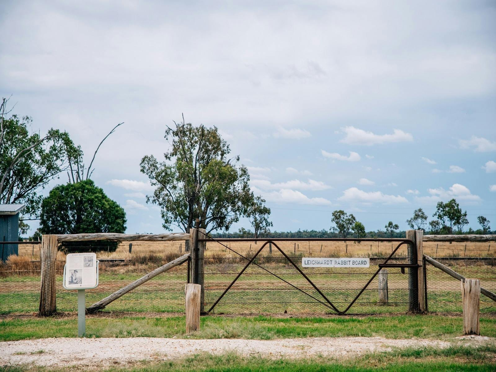 Leichhardt Rabbit Board fence, Morven Leichhardt Rabbit Board fence, Morven