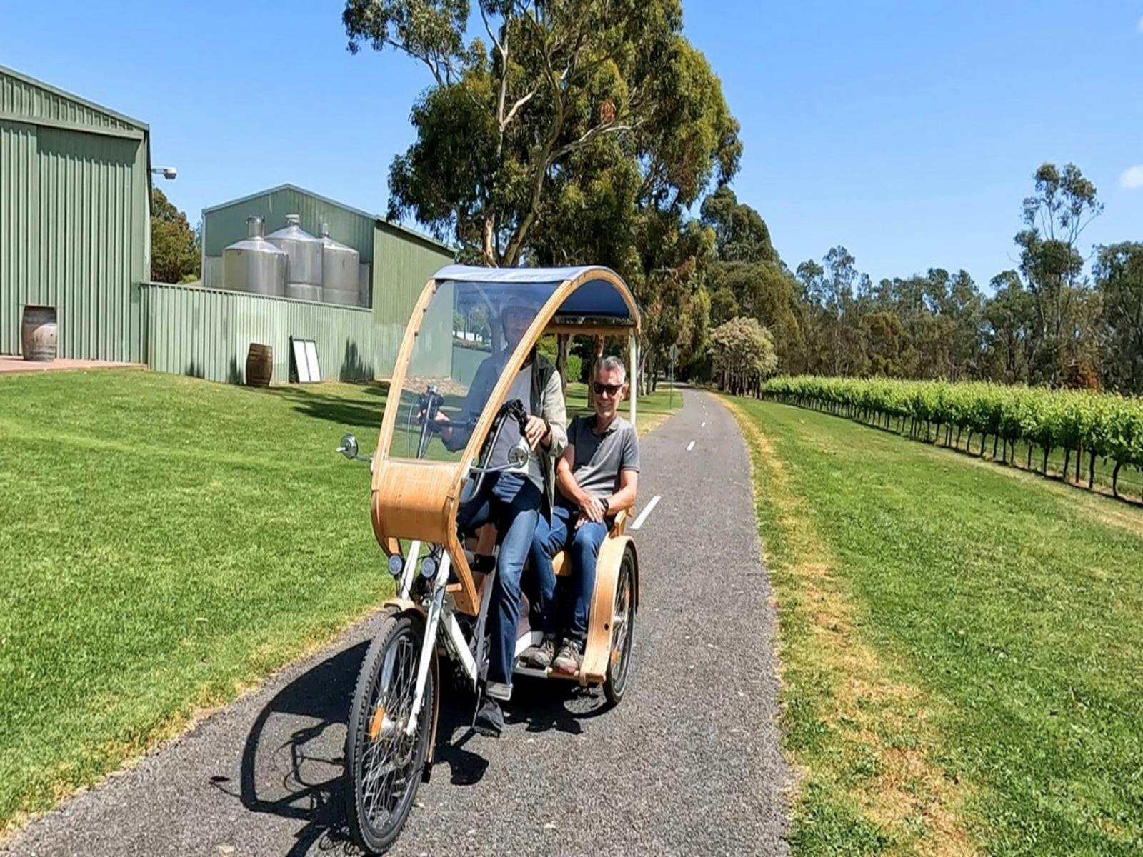 eTukTuk on Shiraz Trail
