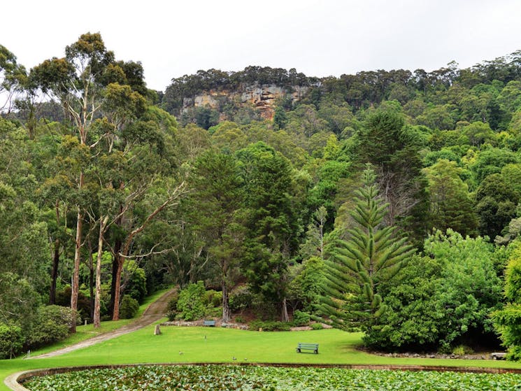 Illawarra Rhododendron Gardens Wollongong Visitnsw Com