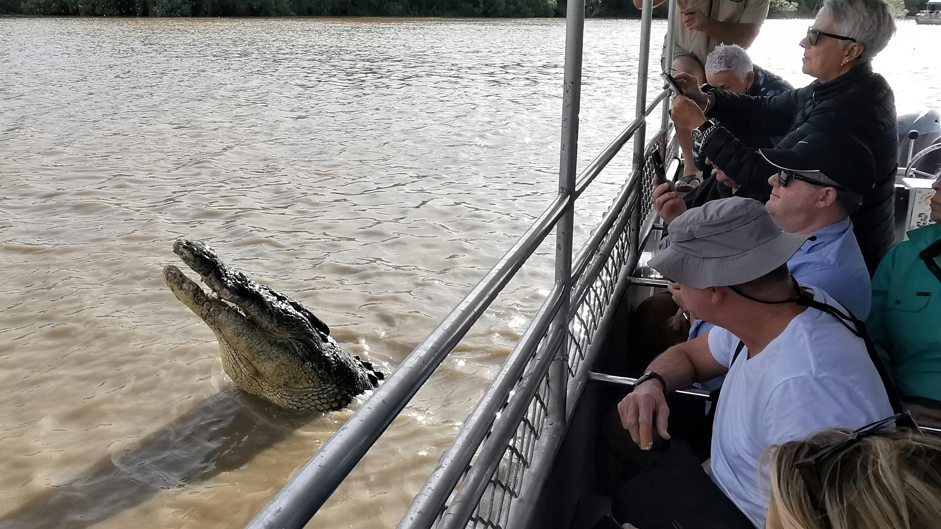 close up and personal with Saltwater crocodiles