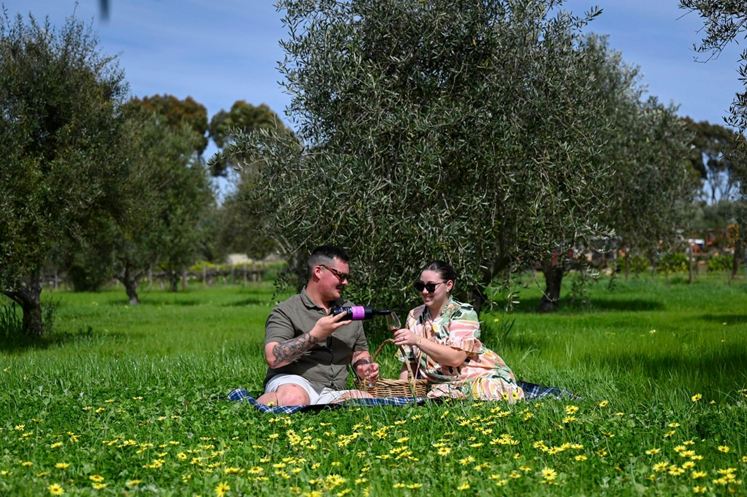Picnic romantic Clare valley