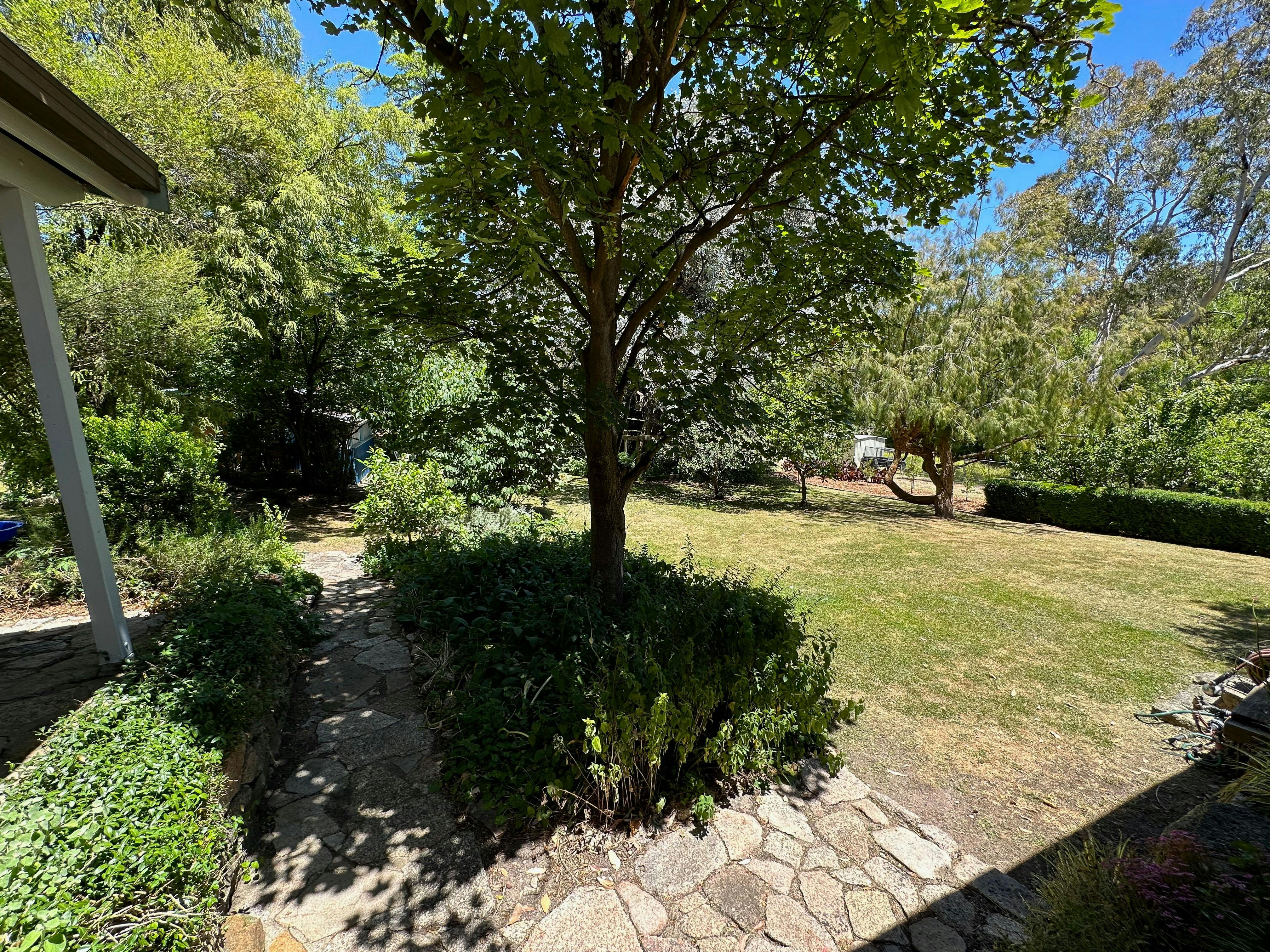 Outdoor yard