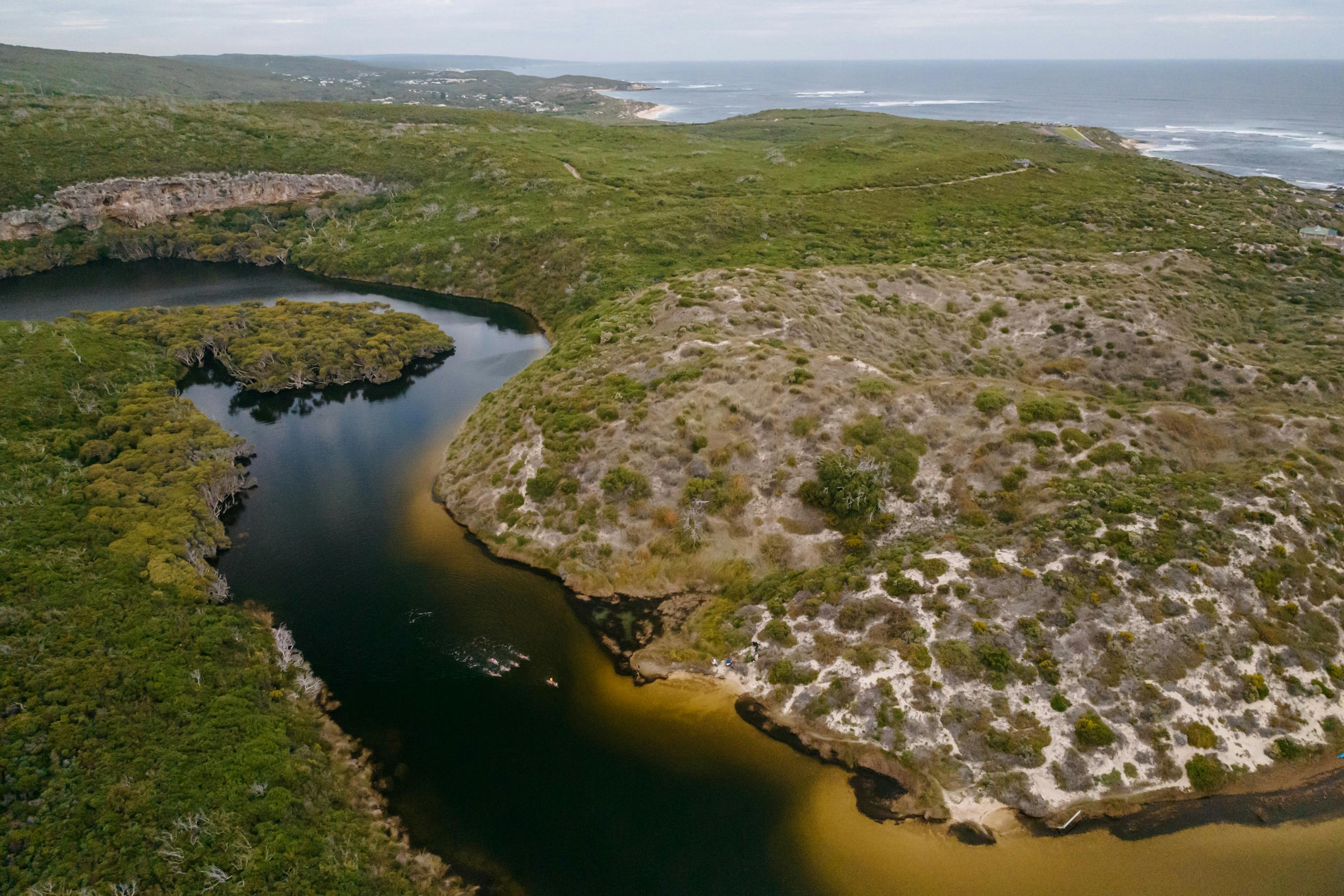 Swimmers viewed from above swimming in a river with the ocean in the background