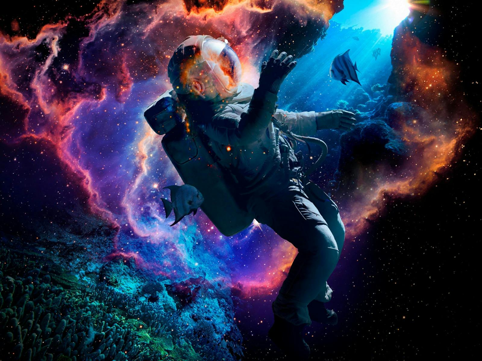 World Science festival Hero Artowrk