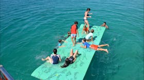 Blue Dolphin Marine Tours