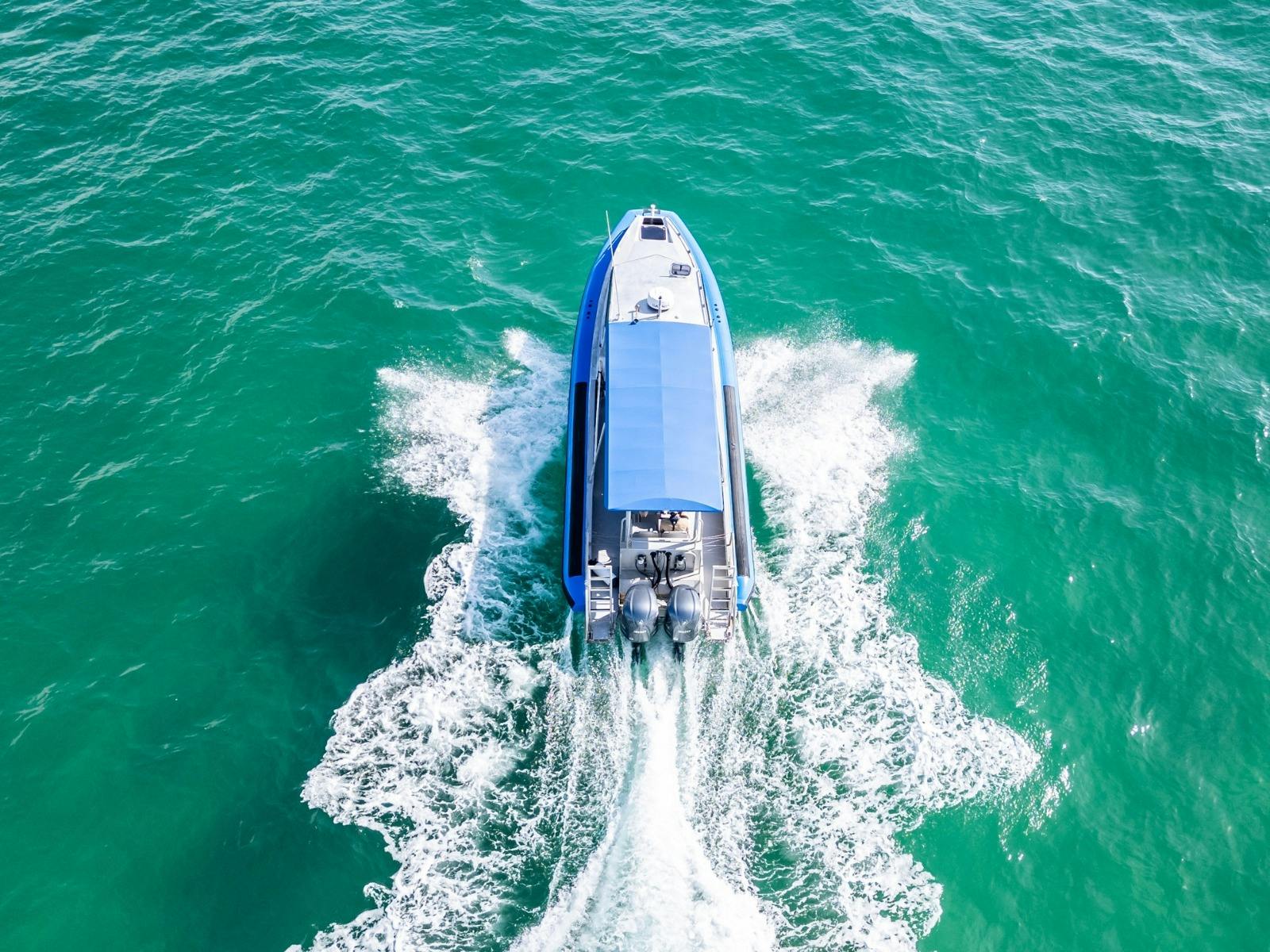 Whale Watching from Lake Macquarie
