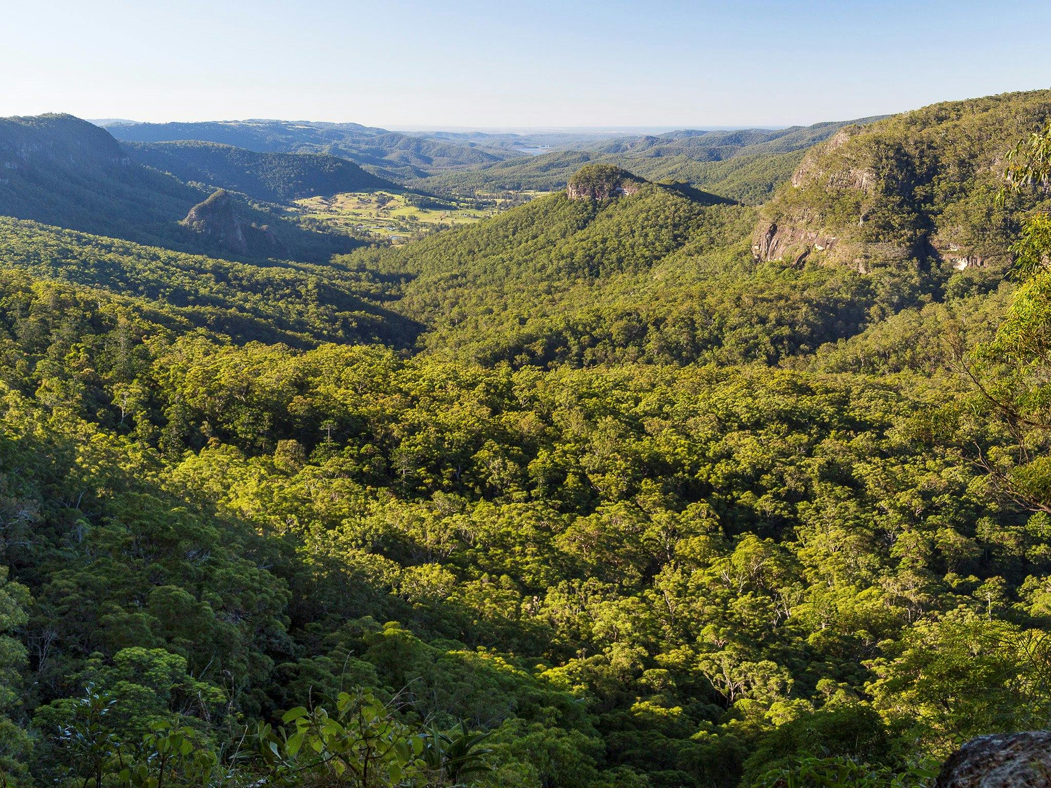 View down forested valley. View down forested valley.