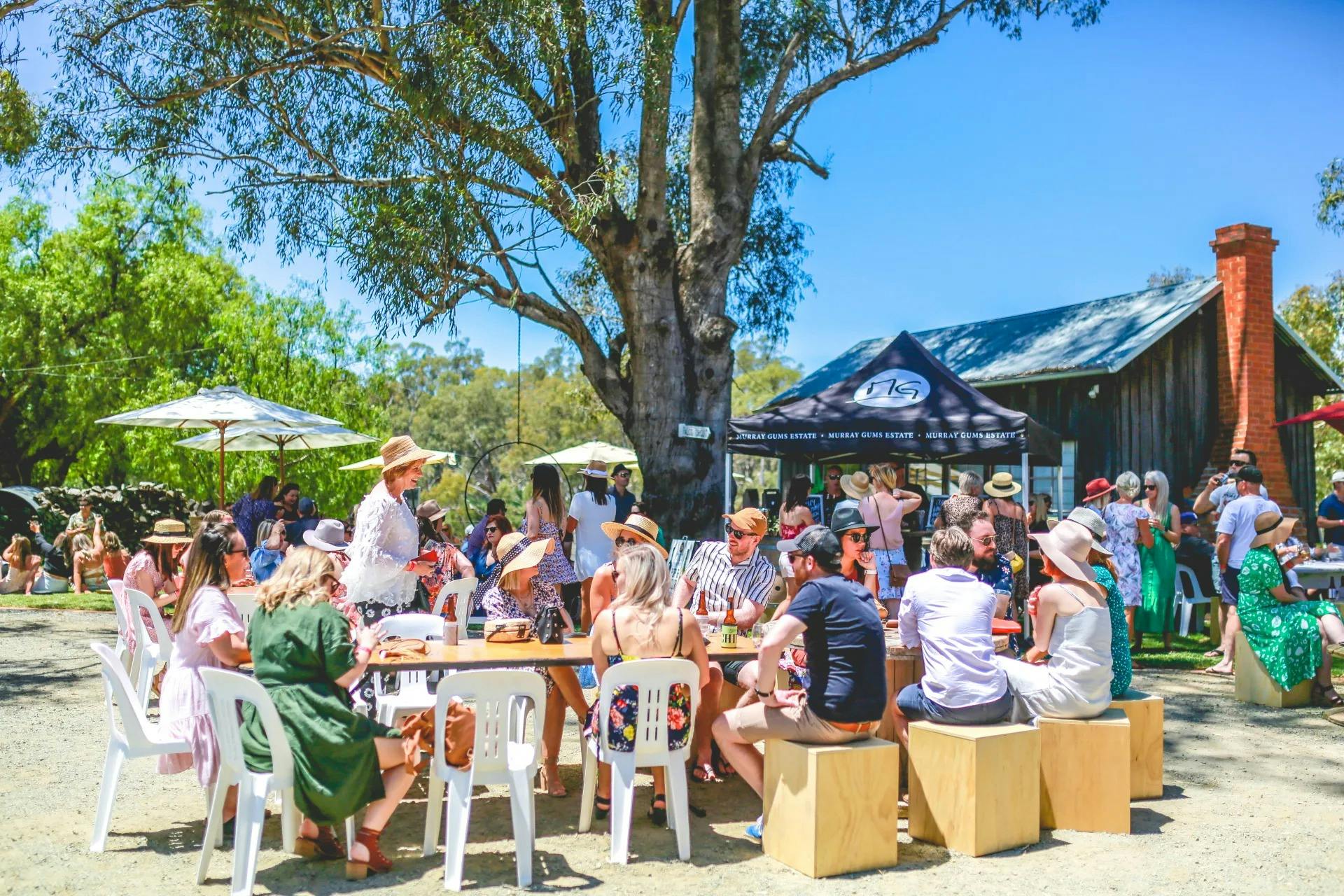 Perricoota Pop & Pour Festival