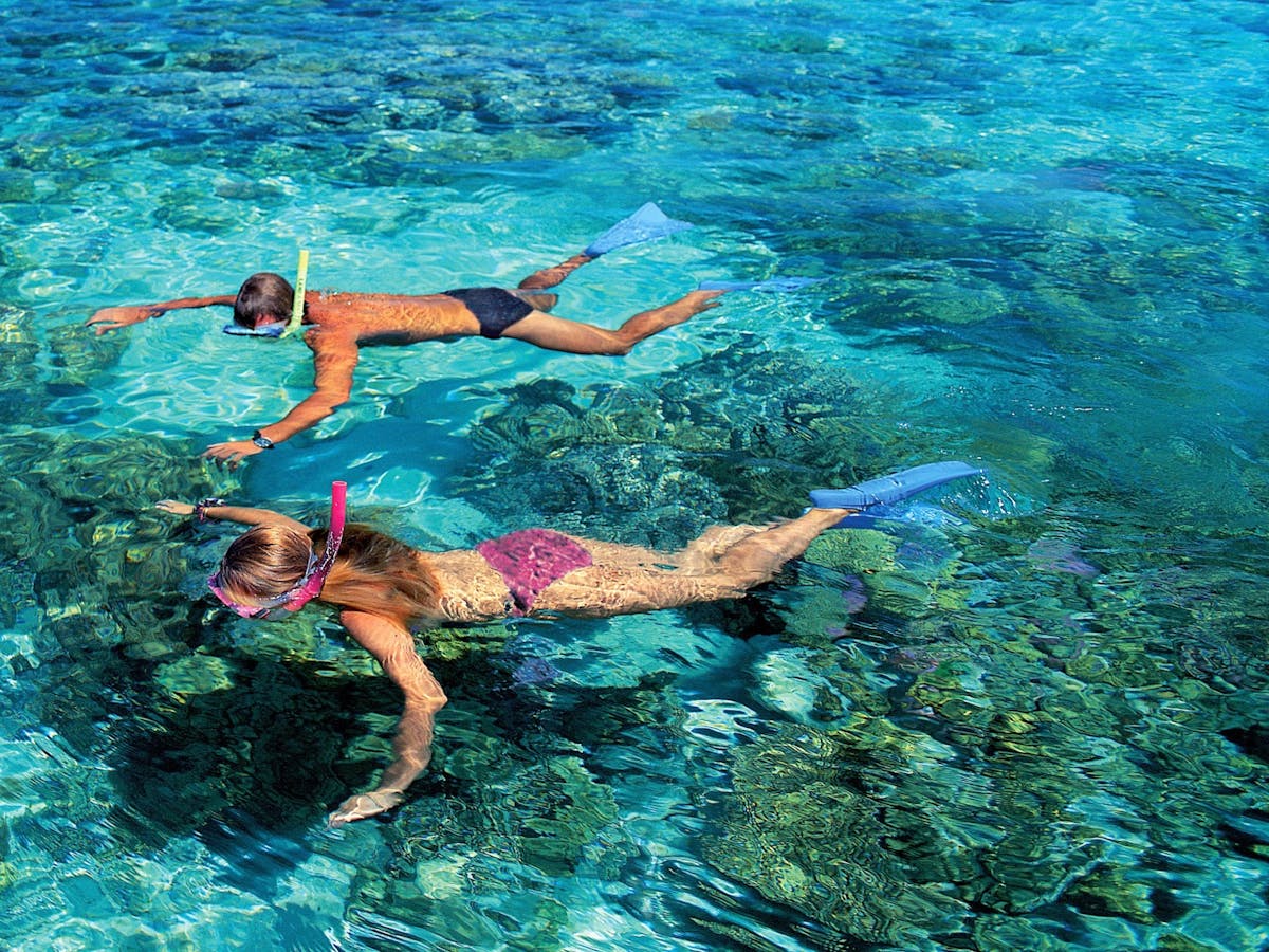 snorkel trip Whitsundays