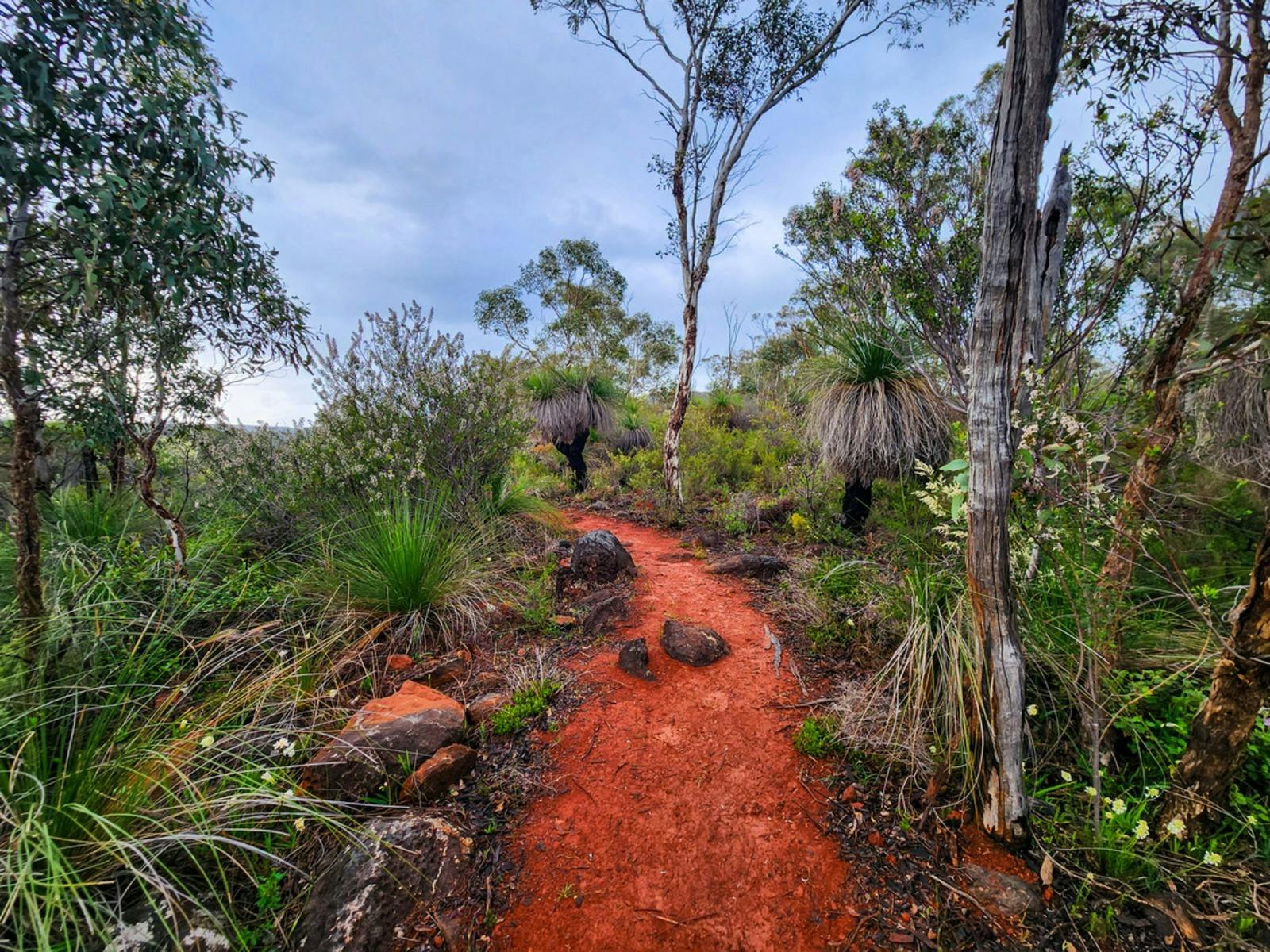 John Forrest Elemental Flow