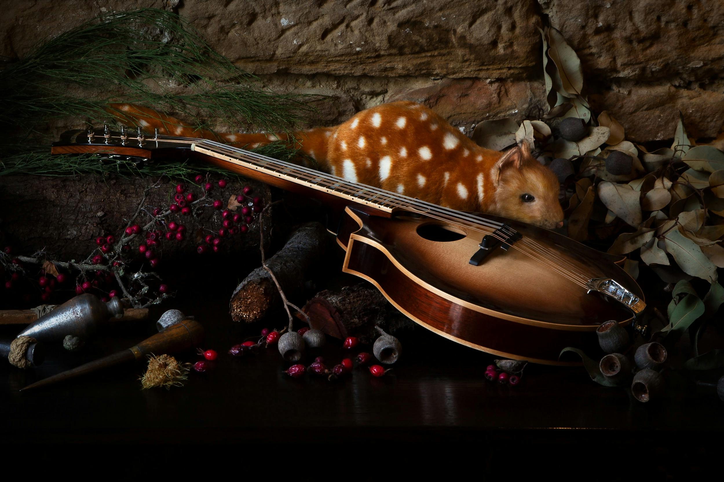 A plush toy is posed beside a mandolin amongst foliage and tools in a still life setting