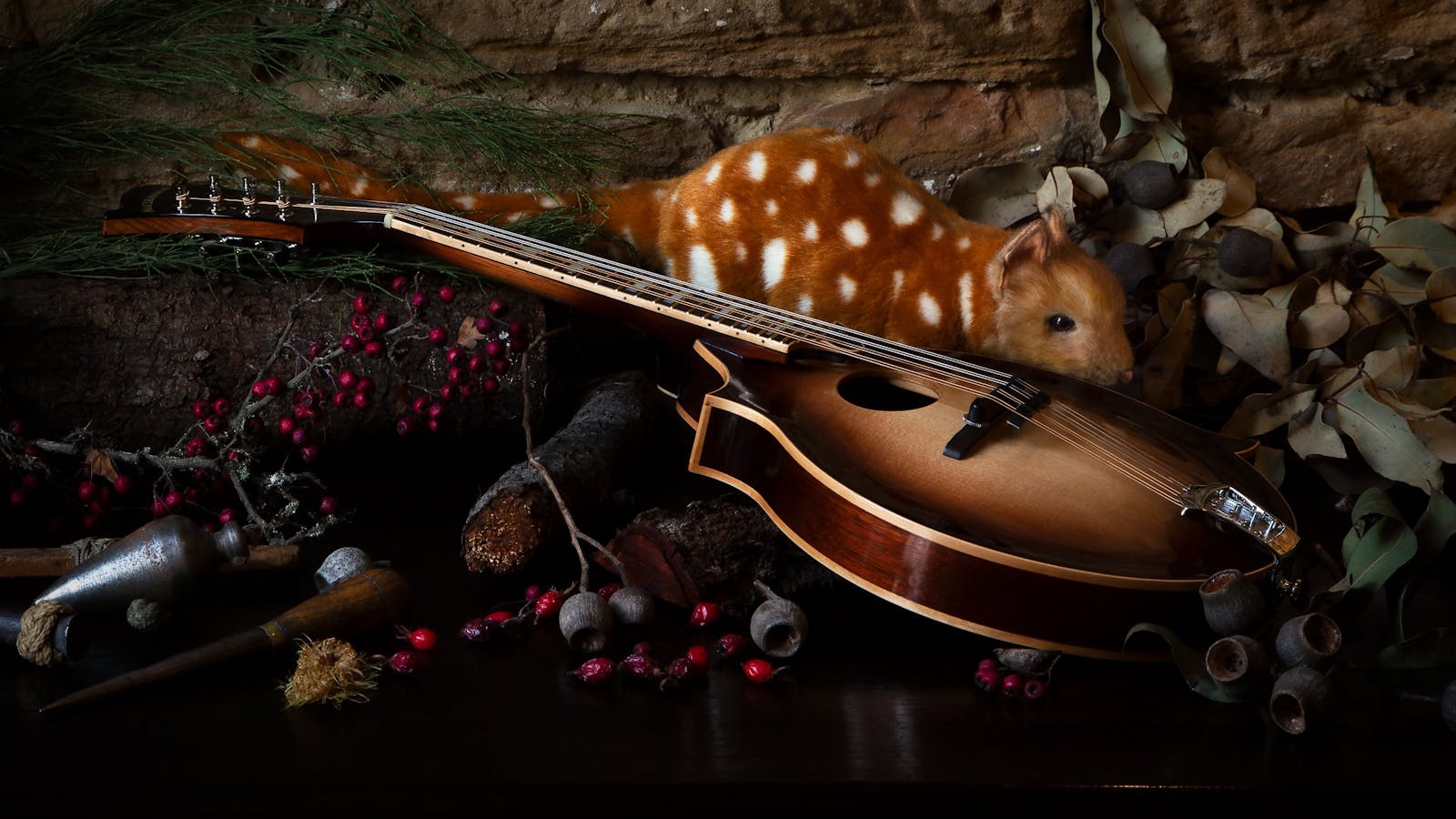 The Spotted Minstrel