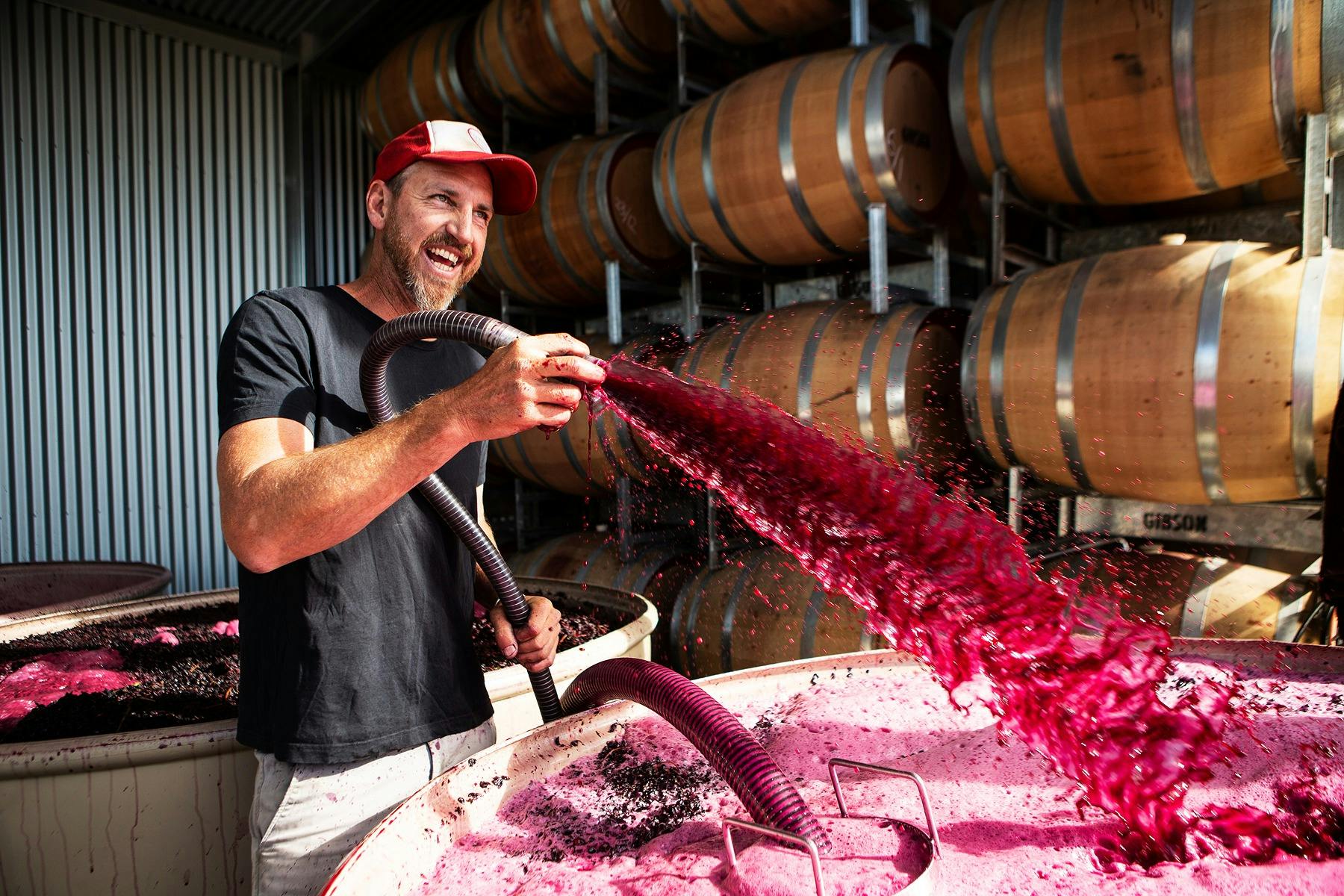 A Taste of Vintage at Gibson Wines