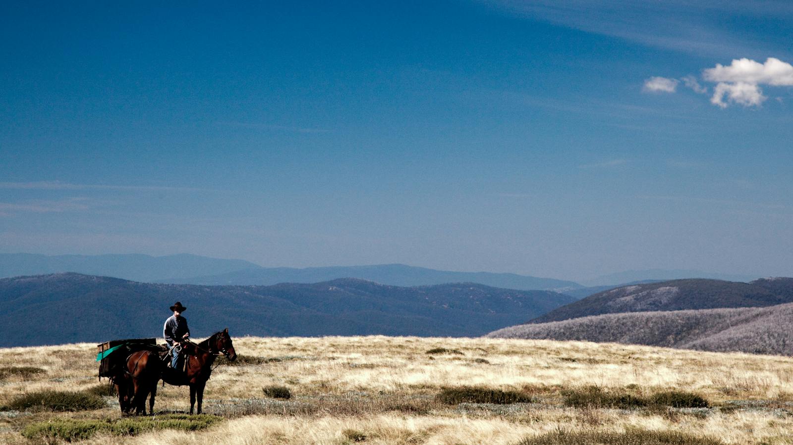 Mount Bogong