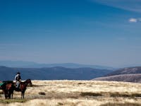 Mount Bogong