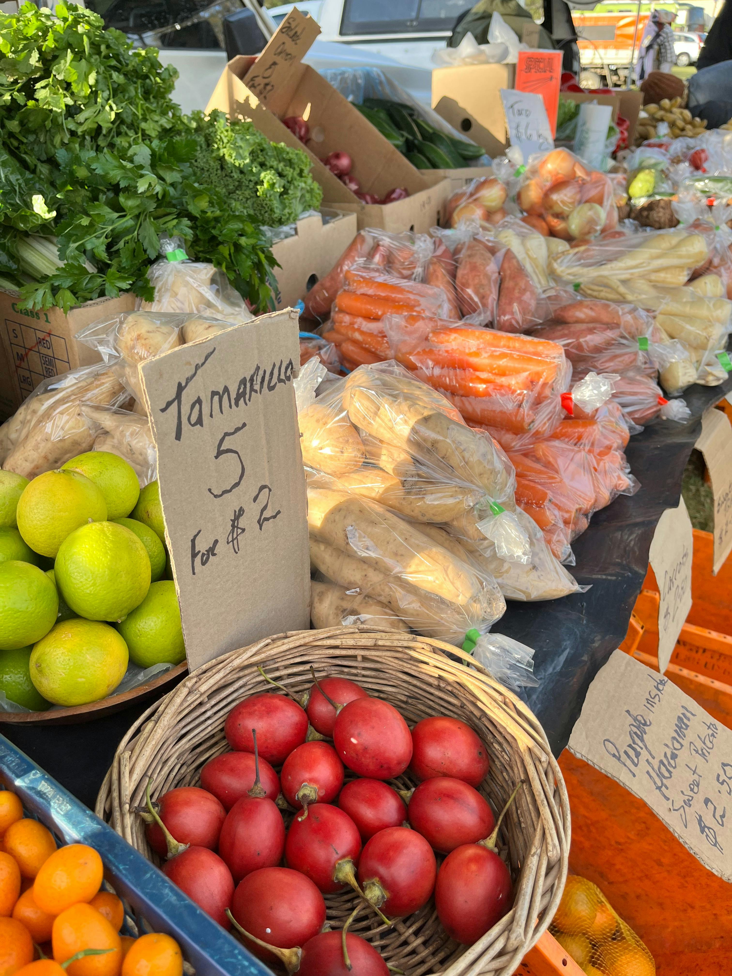 Murwillumbah Showground Car Boot & Fashion Flea Market