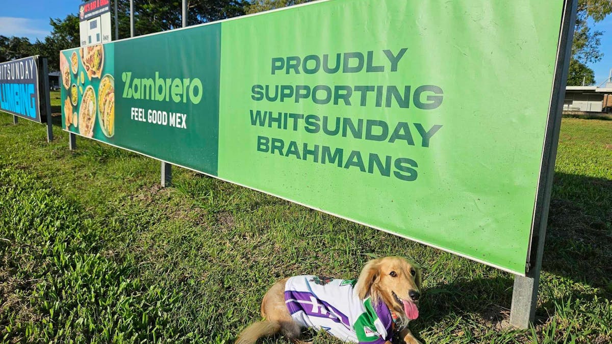Sideline banner from the Les Stagg Oval Football Field showing a small dog in the players jersey