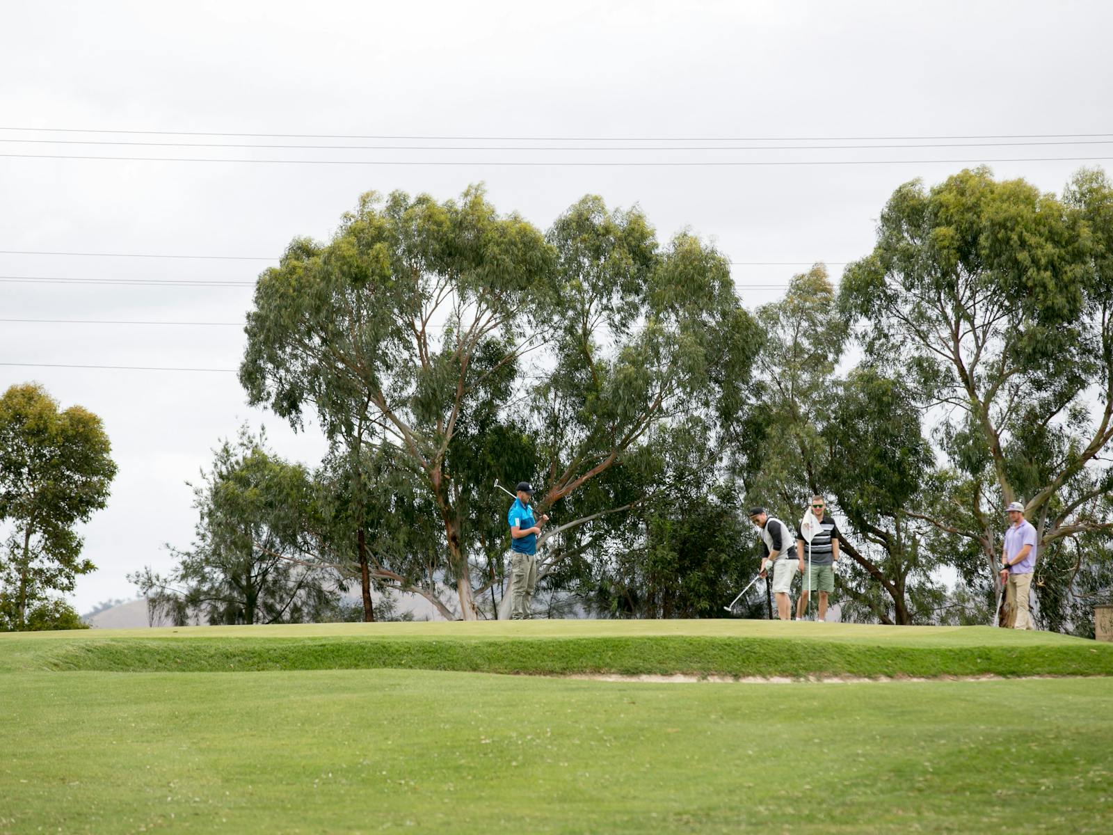 Mansfield Golf Club