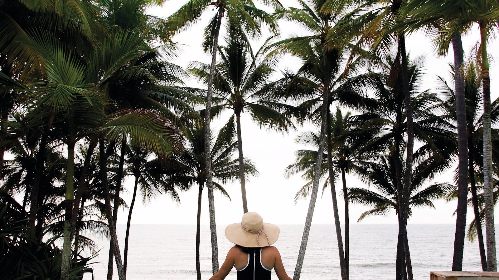 Great Tropical Drive