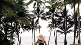 Great Tropical Drive