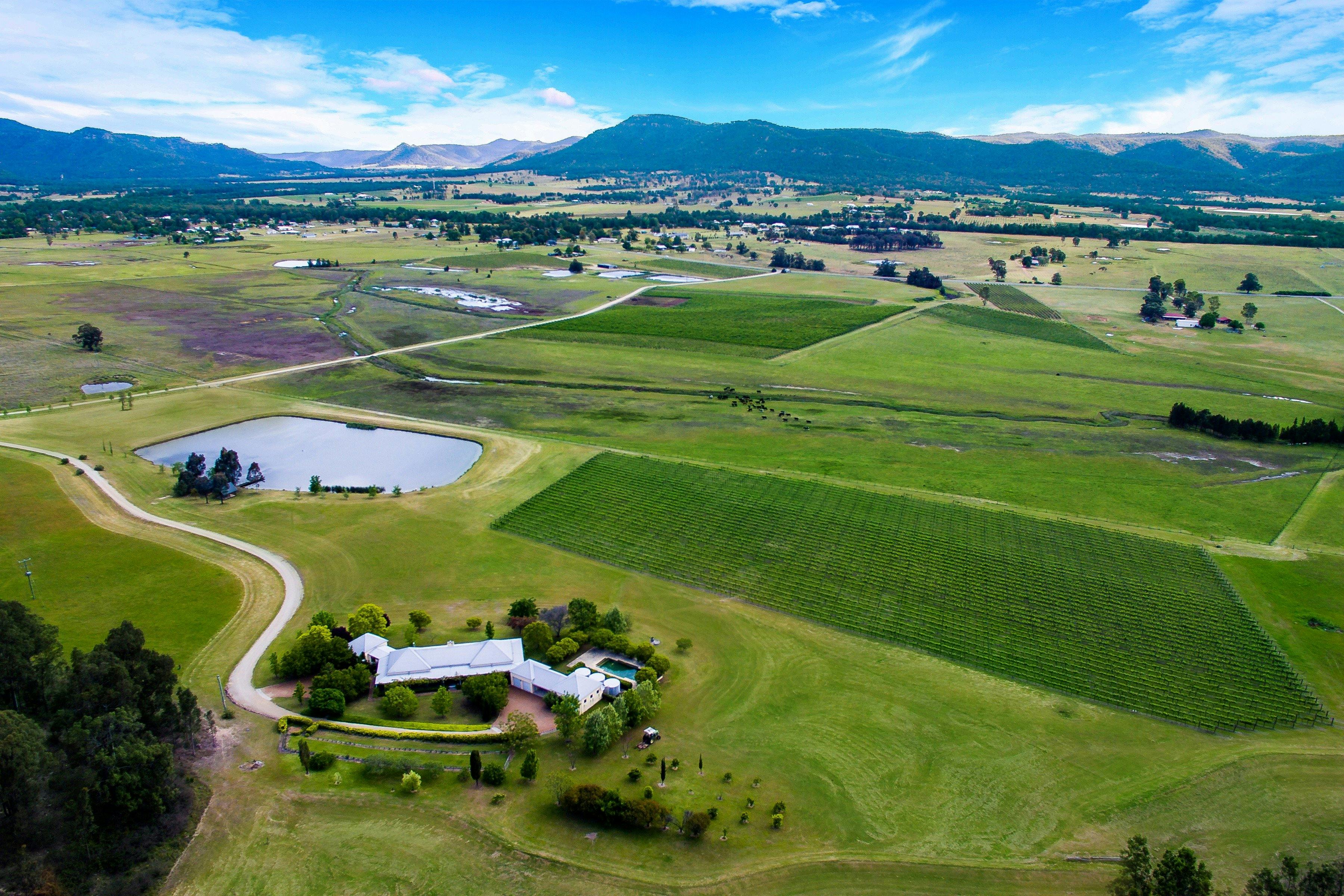 Binbilla Vineyard Estate - Aerial View