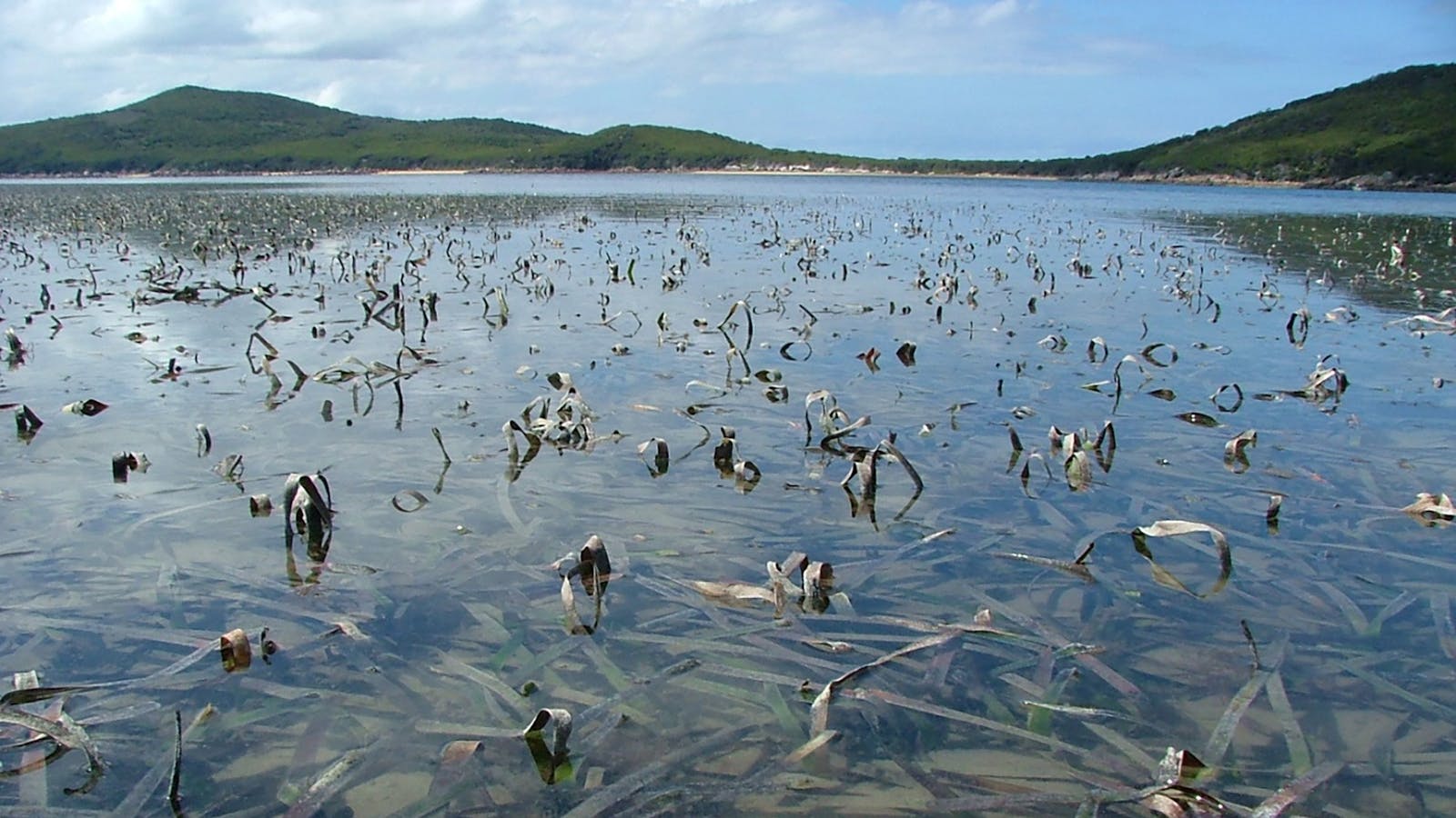 Corner Inlet Marine National Park
