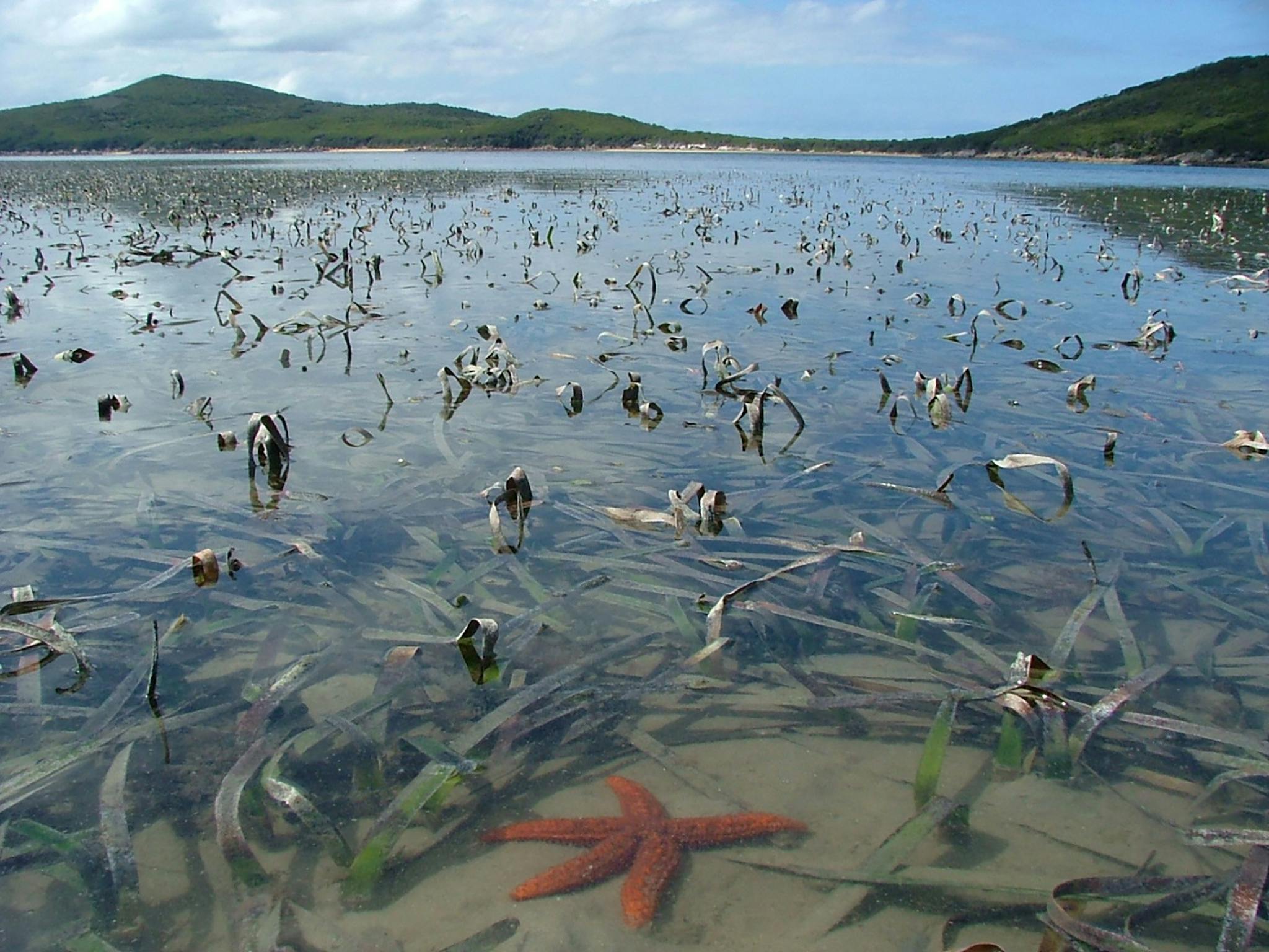 Corner Inlet Marine National Park