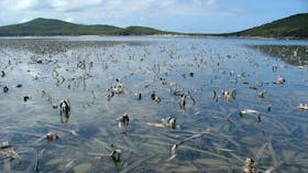 Corner Inlet Marine National Park