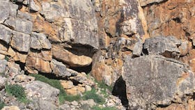 Watheroo National Park, Watheroo, Western Australia