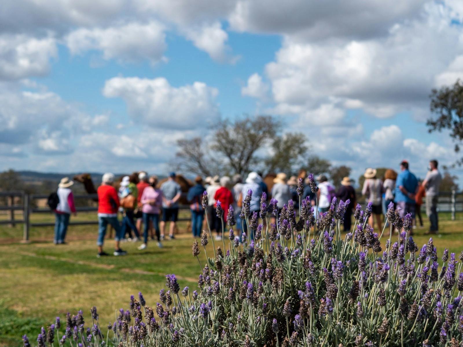 Farm Tour & Taste
