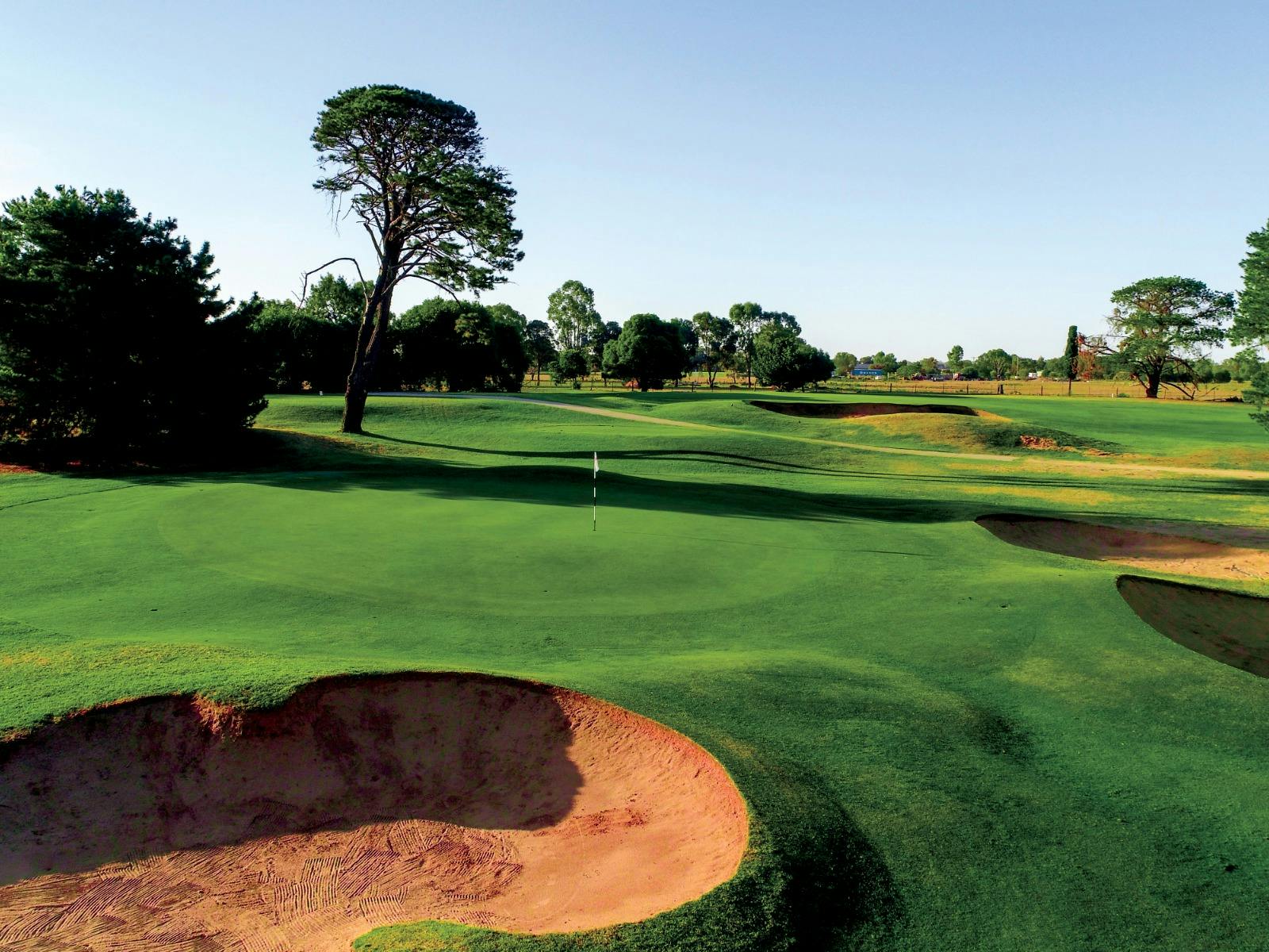 Bunker and Green
