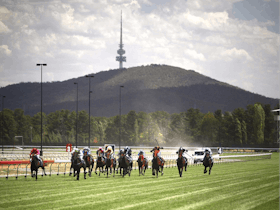 Thoroughbred Park Canberra Racing Club