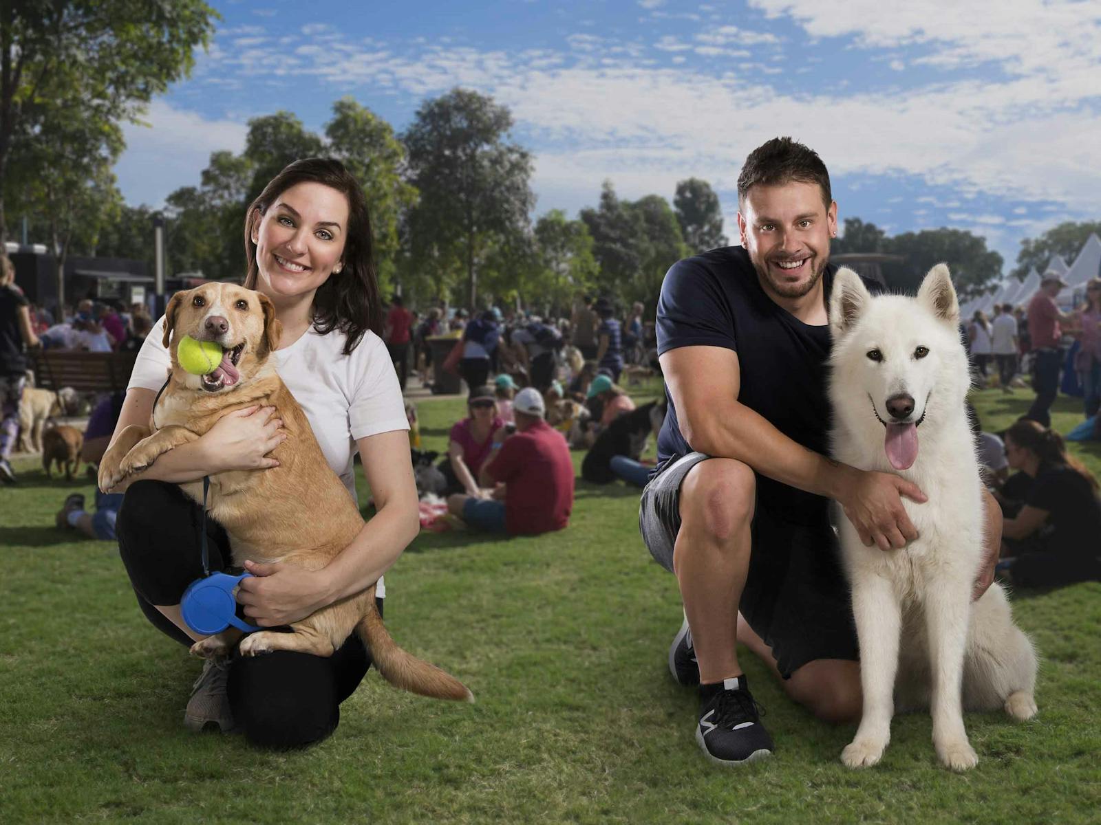 Image for Million Paws Walk - Glen Innes