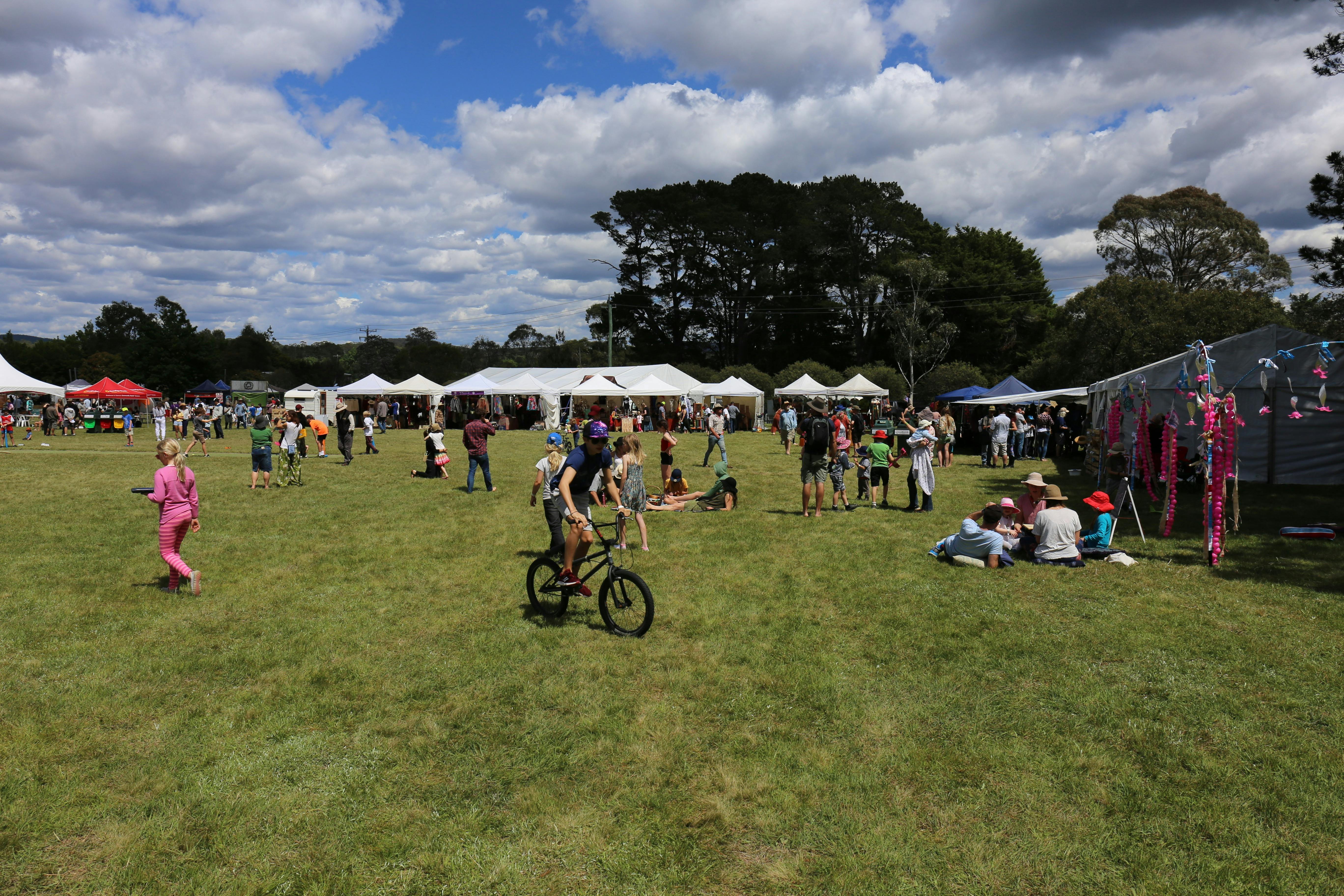 People mingling on festival grounds