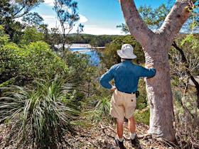 Corkwood and Scribbly Gum Walking Track