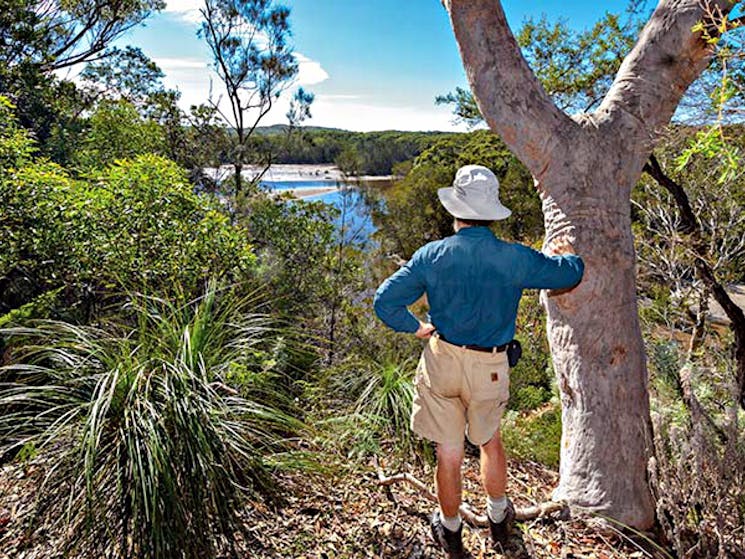 Corkwood and Scribbly Gum walking track, Yuraygir National Park. Photo: Rob Cleary