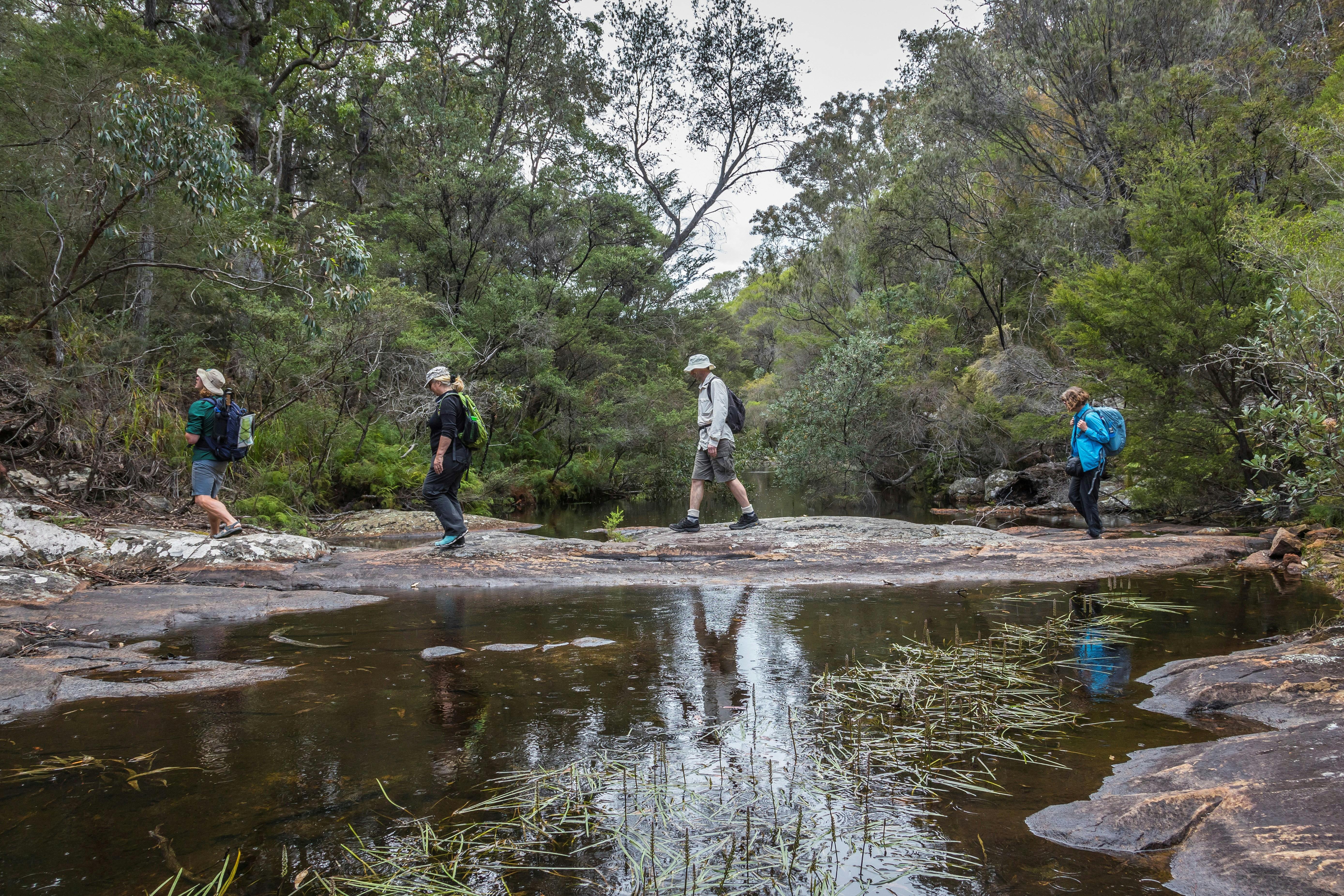 Walkers on the Light to Light walk cross a creek
