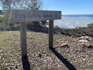 Pitts Cutting Lookout