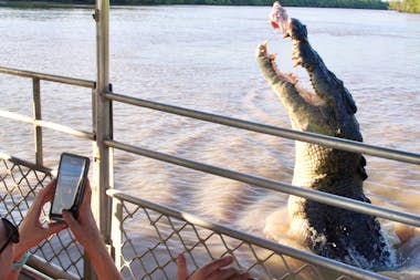 Croc Spot Tours - Jumping Crocodile Encounters