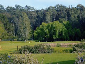 Catalina Country Club