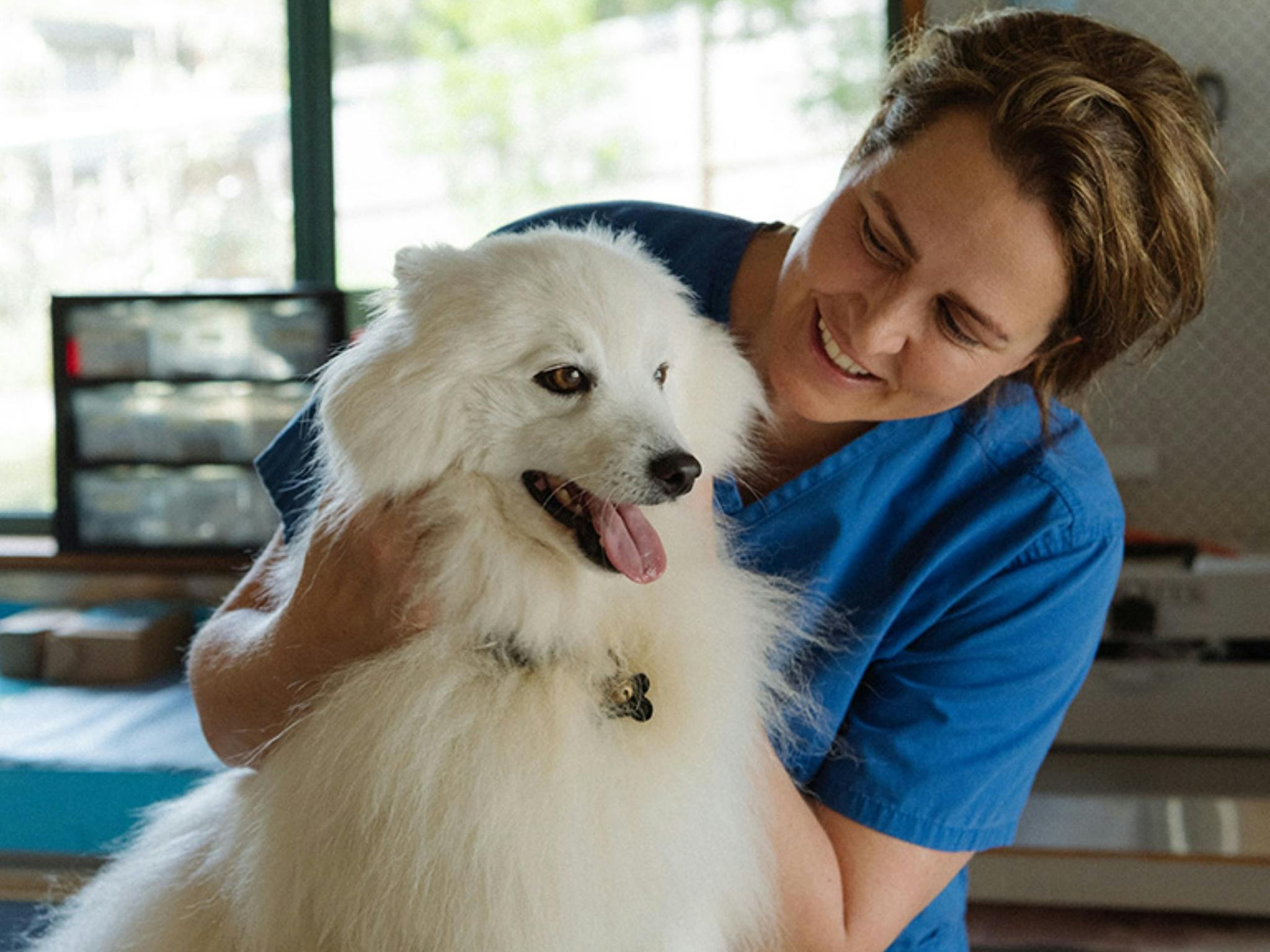 Image of a vetinarian surgeon with a white fluffy dog